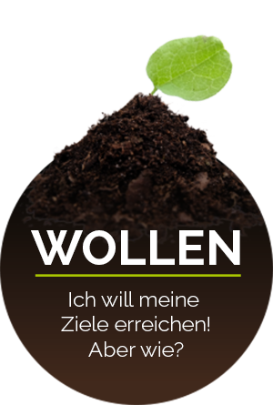 WOLLEN: Ich will meine Ziele erreichen! Aber wie?